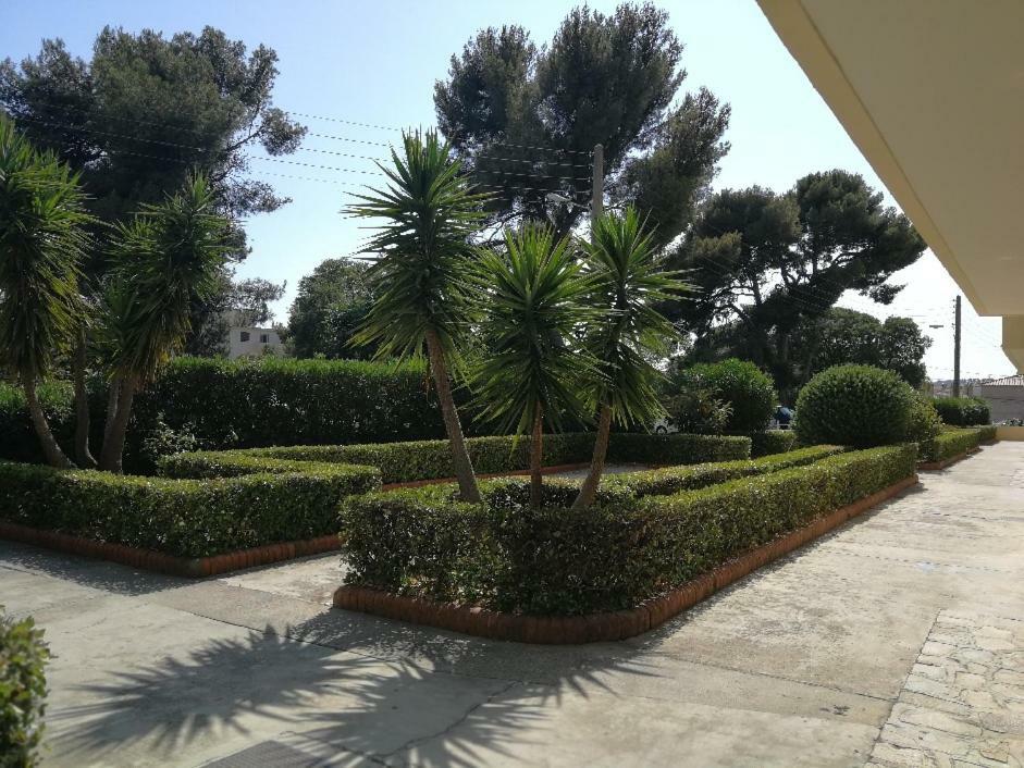 Appartement 2 Pieces Avec Balcon Toulon Buitenkant foto